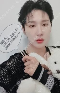 UPSIDE DOWN EVERLINE JEON WOONG photocard image