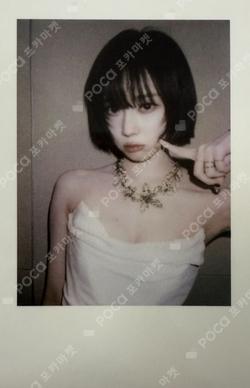 Whiplash KMS WINTER photocard image