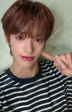 O-RLY? SOUND WAVE SEITA photocard image