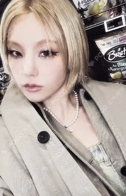 TUNNEL VISION Photo Projection Ver.