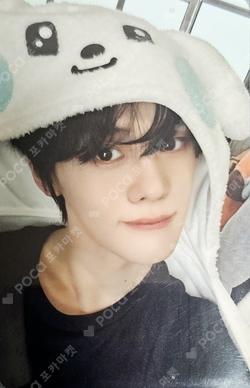 zeroni FLUFFY Wonderland PHOTO HOLDER POUCH KIM GYUVIN photocard image