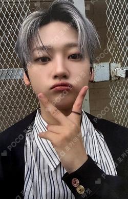 Wonderland BROADCAST