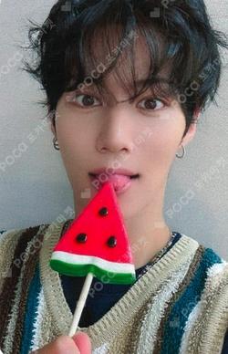 Butterfly SOUND WAVE