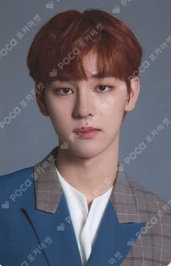 A Better Tomorrow ROLL STICKER & PHOTOCARD SET