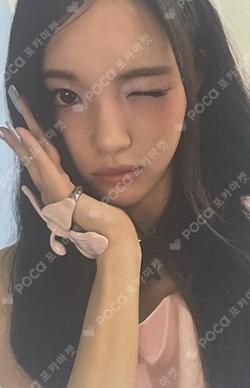FOCUS REWARD YUHA photocard image