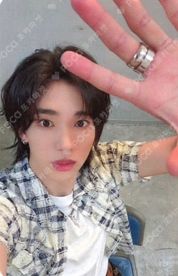 Butterfly SOUND WAVE