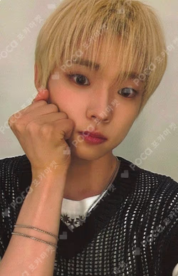 FLEX LINE ARAISE LUCKY DRAW SHINYECHAN photocard image