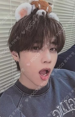 a;effect EVERLINE SUNWOO photocard image