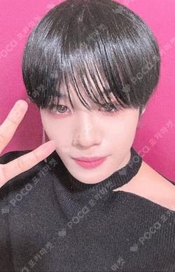 Potential MV BEHIND DVD EVERLINE