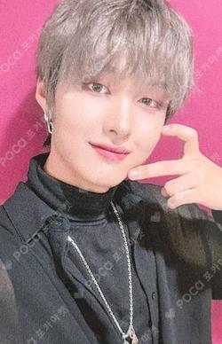 Potential MV BEHIND DVD EVERLINE