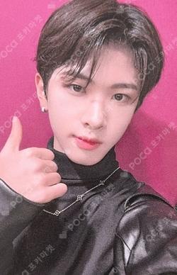 Potential MV BEHIND DVD EVERLINE