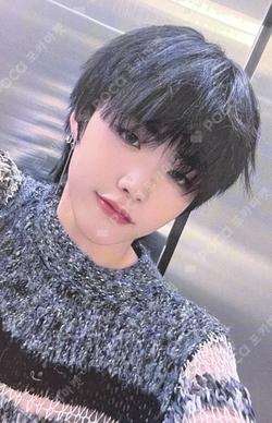 Potential MV BEHIND DVD DEAR MY MUSE