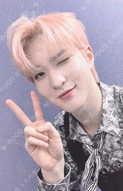 Potential MV BEHIND DVD BEATROAD