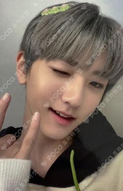 NEW TOMORROW EVERLINE Kaedan photocard image