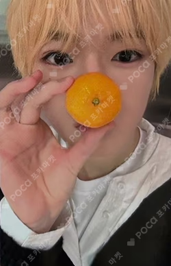 COLOR EVERLINE LUCKY DRAW SAKUYA photocard image