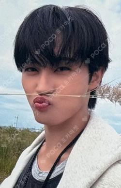 Beat It Up SHOWCASE MARK photocard image