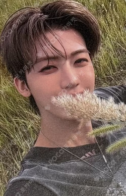 Beat It Up SHOWCASE JAEMIN photocard image