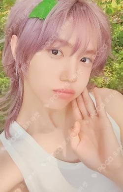 Dare to Crave : Epilogue Grape Ccrew ver. SEONGMIN photocard image