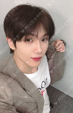 Dreamiez's Dream Forest POP-UP PVC PHOTO CARD HOLDER JISUNG photocard image