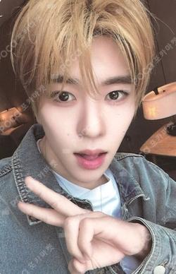 poppop KMS WINNER SION photocard image