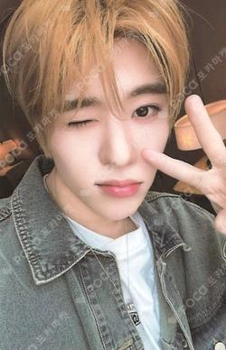 poppop KMS SION photocard image