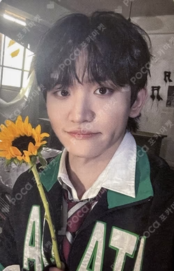 Sunflower DEAR MY MUSE CHOWONSANG photocard image