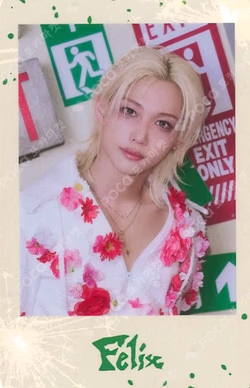 Hollow PHOTO CARD SET FELIX photocard image