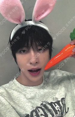 ONE QUESTION SOUND WAVE