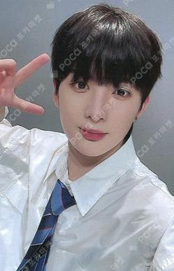 Potential MV BEHIND DVD DEAR MY MUSE