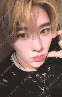 NCT SION photocard image