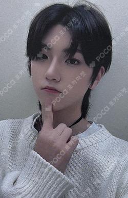 Potential MV BEHIND DVD DEAR MY MUSE