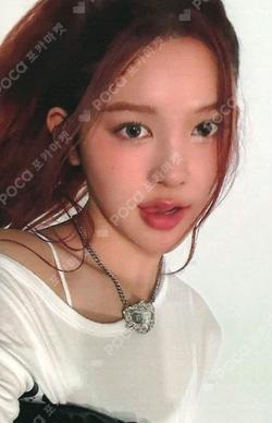 FOCUS EVERLINE A-Na photocard image