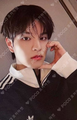 DO IT PLATFORM PLVE VER. SEUNGMIN photocard image