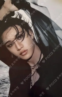 DO IT PLATFORM PLVE VER. BANG CHAN photocard image