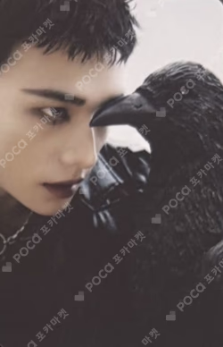 DO IT PLATFORM PLVE VER.