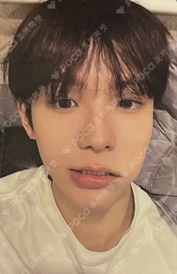 Fame Chamber Ver. SHOTARO photocard image