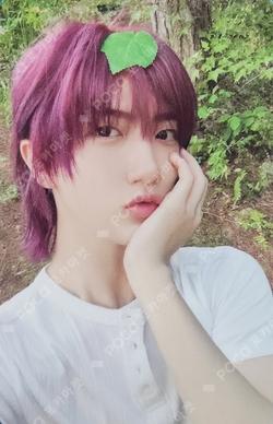 Dare to Crave : Epilogue Grape Ccrew ver.