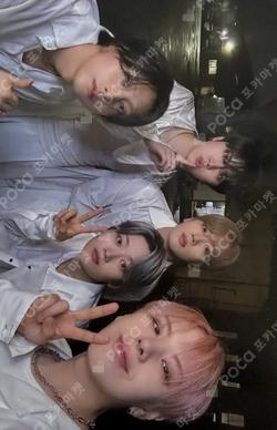 Wonderland Haven Ver.