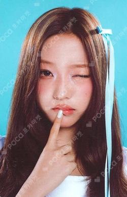 FOCUS PHOTO SET Stella photocard image