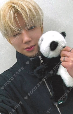 LEGGO PHOTO CARD RANDOM PACK