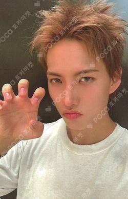 Trophy Classic ver. Cho Seong Il photocard image