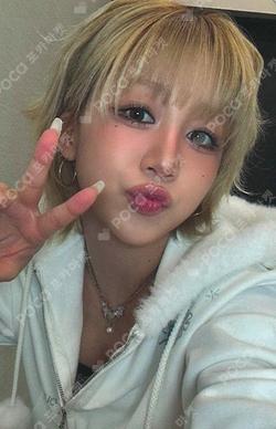 BUBBLE GUM MUSICPLANT