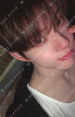 Snowy Summer FANPLEE