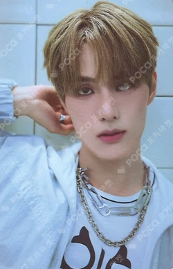 HOUSE OF TRICKY : WRECKING THE HOUSE POCAALBUM