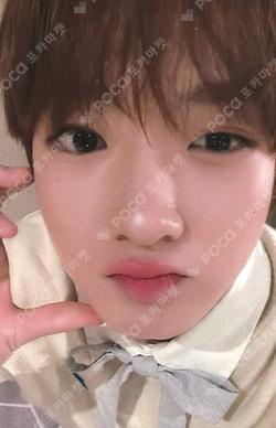 poppop KMS WINNER SAKUYA photocard image