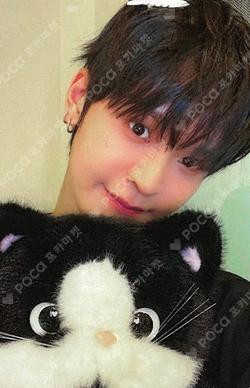 As I am Hellolive shop TAERAE photocard image