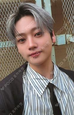 Wonderland Wonder Ver. KANGSEOKHWA photocard image