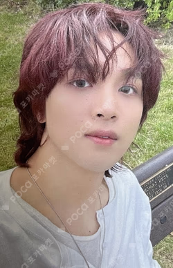 TASTE Savory Ver./Tin Case Ver. StarRiver