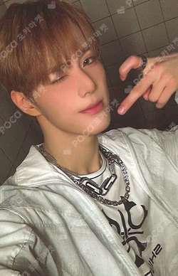 HOUSE OF TRICKY : WRECKING THE HOUSE POCAALBUM