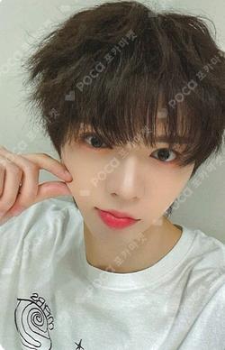 WILD&FREE DEAR MY MUSE BRIAN photocard image